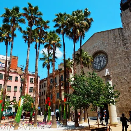 Apartment Loft Barri Vell *
